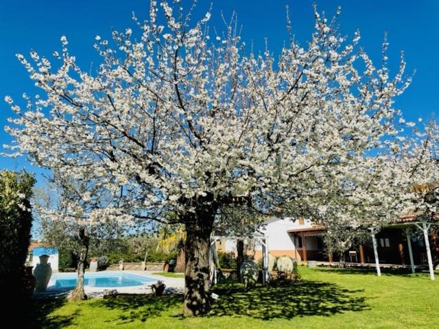 VILLA Casa al Chiazzullo Mirabella Eclano Esterno foto